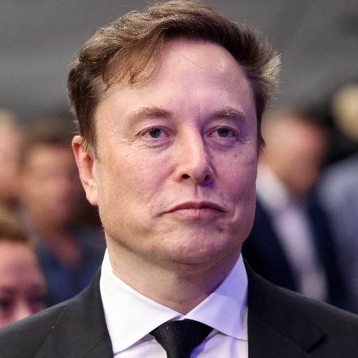 Elon Musk face
