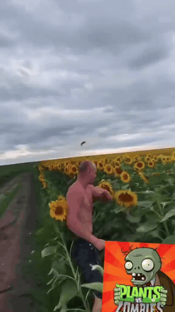 IRL Plants Vs. Zombies Sunflower animated GIF meme template