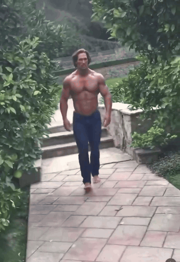 Mike O'Hearn GigaChad Walk animated GIF meme template